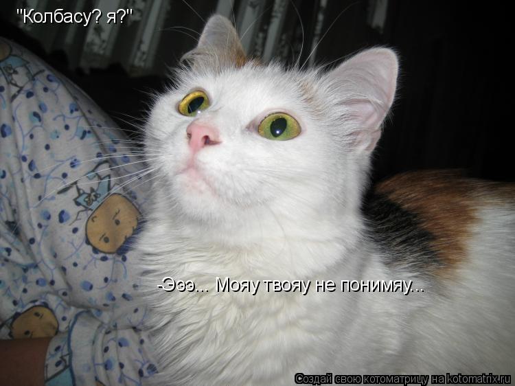 "Колбасу? я?" -Эээ... Мояу твояу не понимяу...... Котоматрица: "Колбасу? я?" -Эээ... Мояу твояу не понимяу...