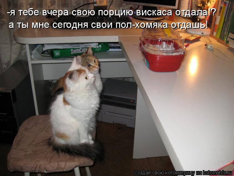 Котоматрица: -я тебе вчера свою порцию вискаса отдала!? а ты мне сегодня свои пол-хомяка отдашь!
