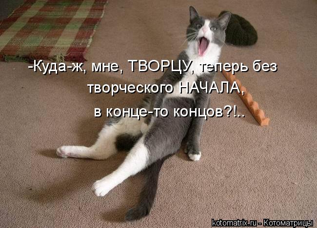 Котоматрица: -Куда-ж, мне, ТВОРЦУ, теперь без творческого НАЧАЛА, в конце-то концов?!..