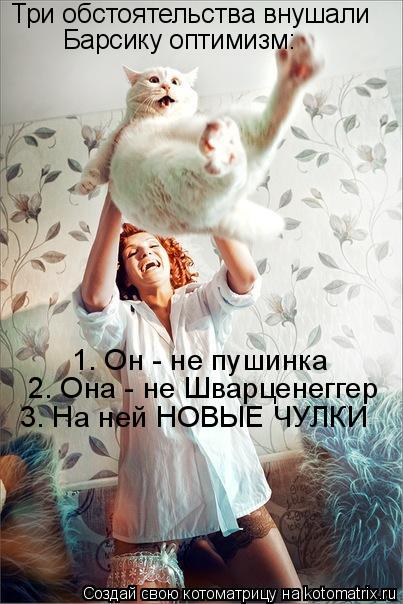 1. Он - не пушинка 2. Она - не Шварценеггер 3. На ней НОВЫЕ ЧУЛКИ Три обстоятельства внушали Барсику ... Котоматрица: 1. Он - не пушинка 2. Она - не Шварценеггер 3. На ней НОВЫЕ ЧУЛКИ Три обстоятельства внушали Барсику оптимизм: