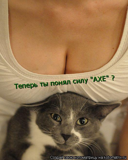 Котоматрица: Теперь ты понял силу "AXE" ? Теперь ты понял силу "AXE" ?