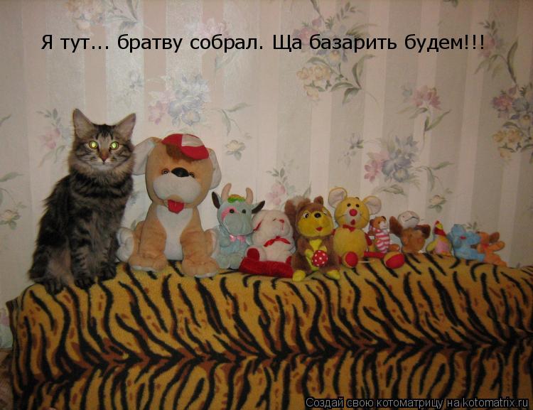 Котоматрица: Я тут... братву собрал. Ща базарить будем!!!