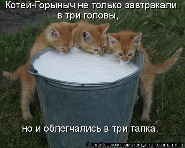 Котоматрица: Котей-Горыныч не только завтракали  в три головы, но и облегчались в три тапка.