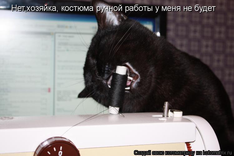 Котоматрица: Нет,хозяйка, костюма ручной работы у меня не будет