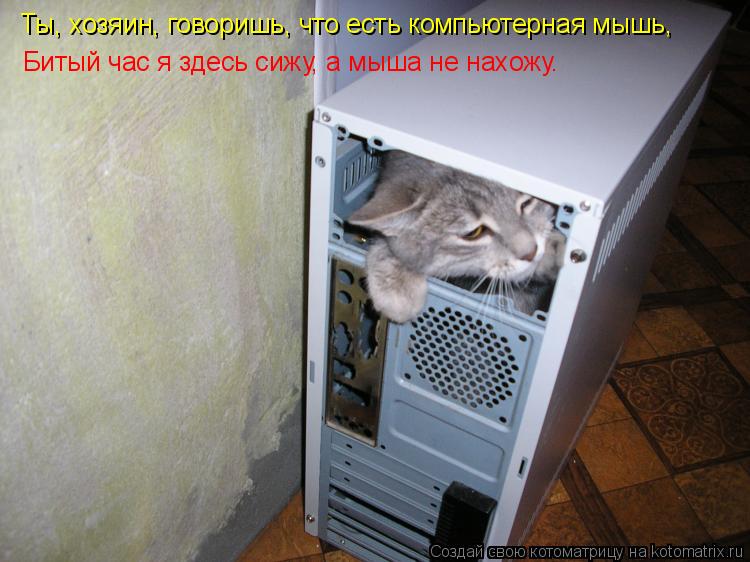 Котоматрица: Ты, хозяин, говоришь, что есть компьютерная мышь, Битый час я здесь сижу, а мыша не нахожу.