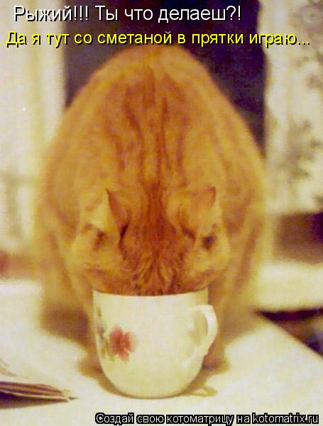 Котоматрица: Рыжий!!! Ты что делаеш?! Да я тут со сметаной в прятки играю...