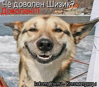 Котоматрица: Чё доволен Шизик?  Доволен!!!