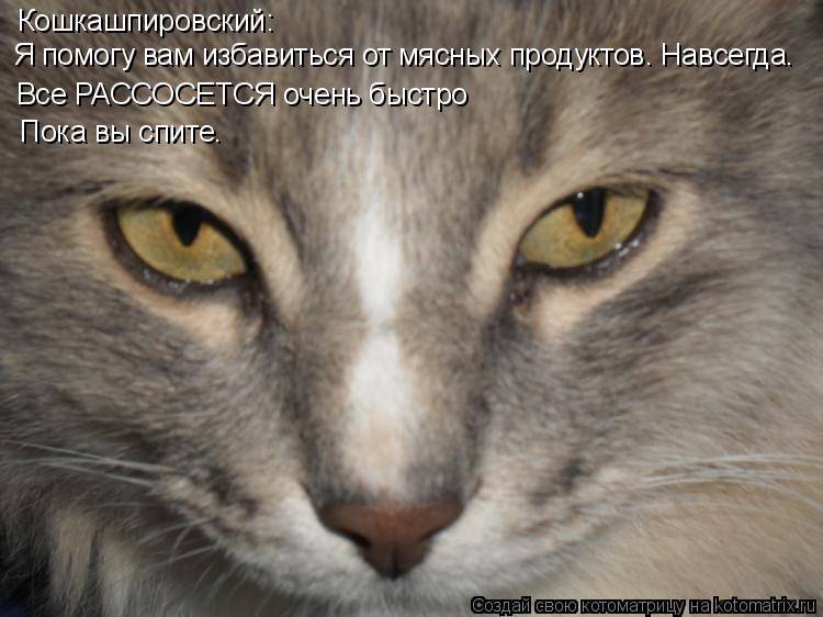 Котоматрица: Кошкашпировский: Я помогу вам избавиться от мясных продуктов. Навсегда. Все РАССОСЕТСЯ очень быстро Пока вы спите.