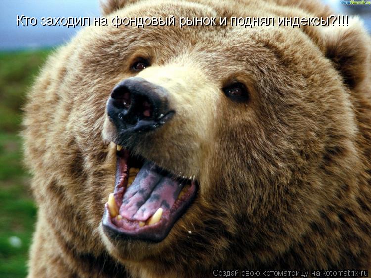 Кто заходил на фондовый рынок и поднял индексы?!!!... Котоматрица: Кто заходил на фондовый рынок и поднял индексы?!!!