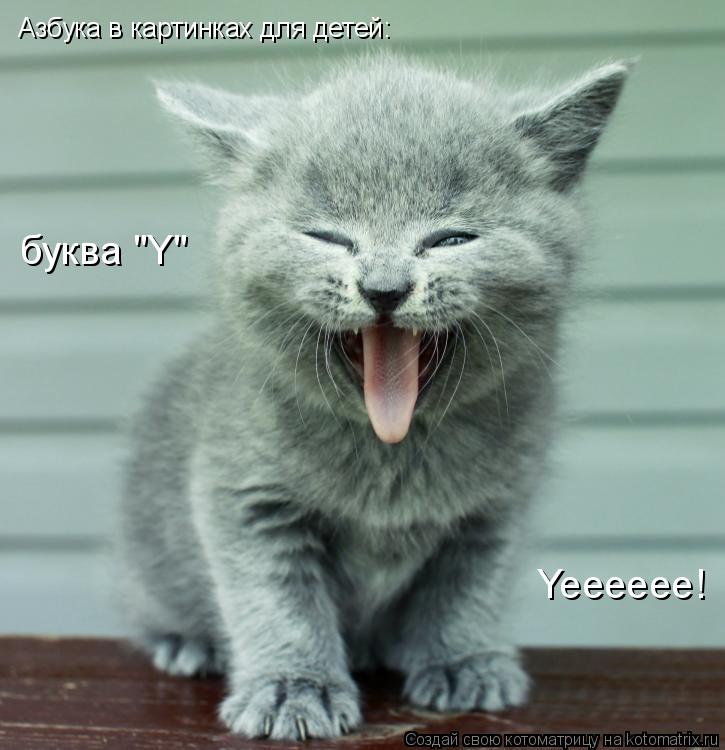 Котоматрица: Азбука в картинках для детей: буква "Y" Yeeeeee!