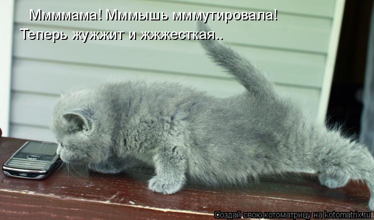 Котоматрица: Ммммама! Мммышь мммутировала!  Теперь жужжит и жжжесткая..