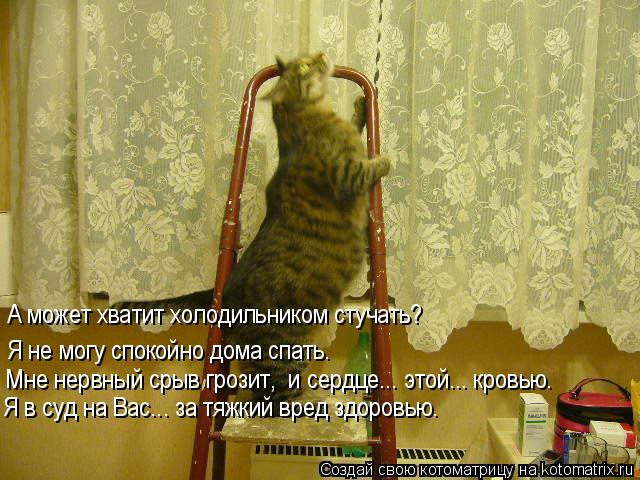 Я не могу спокойно дома спать. А может хватит холодильником стучать? Я в суд на Вас... за тяжкий вред... Котоматрица: Я не могу спокойно дома спать. А может хватит холодильником стучать? Я в суд на Вас... за тяжкий вред здоровью. Мне нервный срыв грозит, и серд