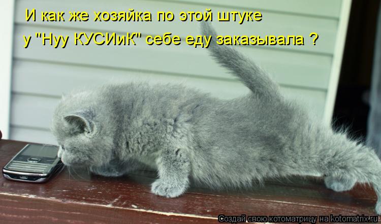 Котоматрица: И как же хозяйка по этой штуке у "Нуу КУСИиК" себе еду заказывала ?