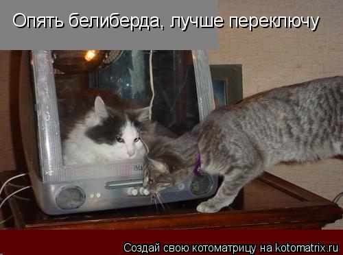 Котоматрица: Опять белиберда, лучше переключу