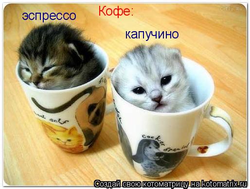 Котоматрица: Кофе: эспрессо капучино