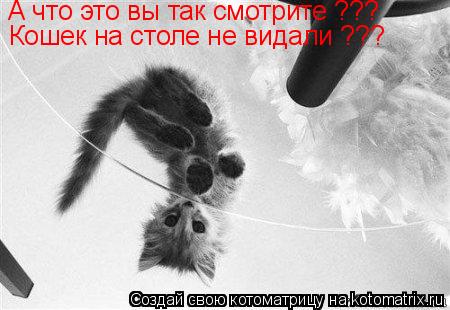 Котоматрица: А что это вы так смотрите ??? Кошек на столе не видали ???