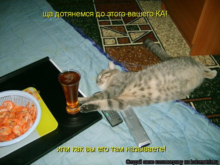 Котоматрица: ща дотянемся до этого вашего КА! или как вы его там называете!