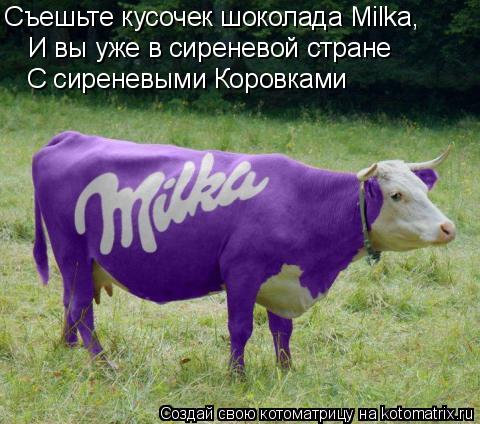 Котоматрица: Съешьте кусочек шоколада Milka, И вы уже в сиреневой стране  С сиреневыми Коровками