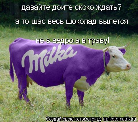 Котоматрица: давайте доите скоко ждать? а то щас весь шоколад вылется  не в ведро а в траву!