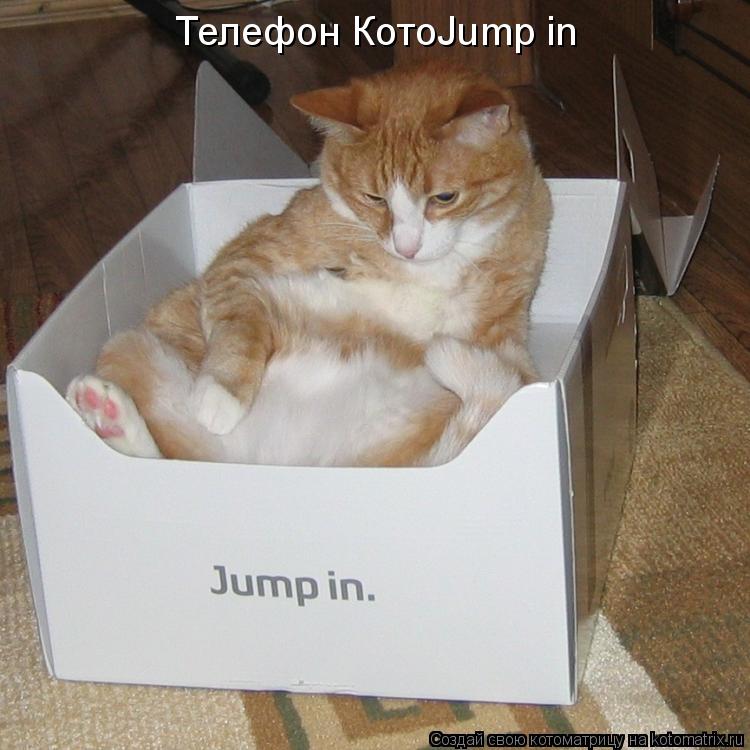 Котоматрица: Телефон КотоJump in