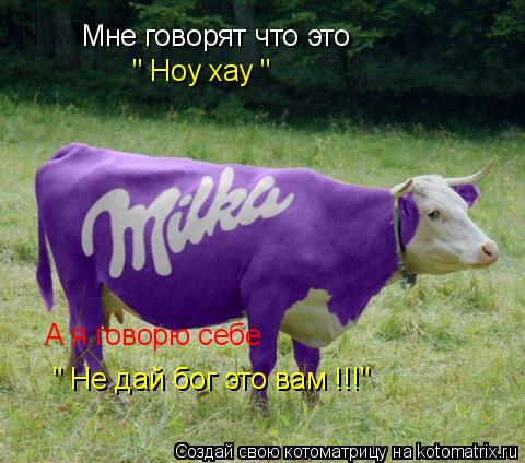 Котоматрица: Мне говорят что это " Ноу хау " А я говорю себе " Не дай бог это вам !!!"