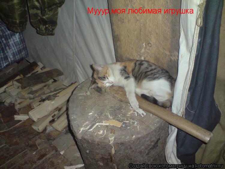 Котоматрица: Мууур,моя любимая игрушка
