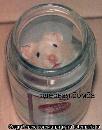 Котоматрица: ядерная бомба