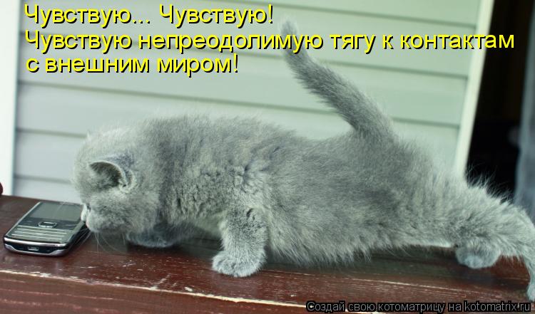 с внешним миром! Чувствую непреодолимую тягу к контактам Чувствую... Чувствую!... Котоматрица: с внешним миром! Чувствую непреодолимую тягу к контактам Чувствую... Чувствую!