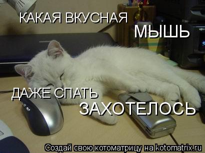 Котоматрица: КАКАЯ ВКУСНАЯ  МЫШЬ ДАЖЕ СПАТЬ ЗАХОТЕЛОСЬ