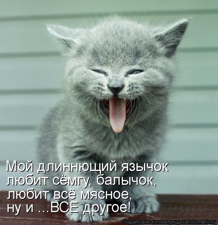 Котоматрица: любит сёмгу, балычок, ну и ...ВСЕ другое! любит всё мясное, Мой длиннющий язычок
