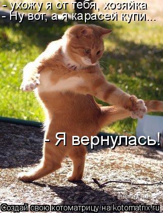 Котоматрица: - ухожу я от тебя, хозяйка - Ну вот, а я карасей купи... - Я вернулась!