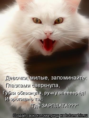 Котоматрица: Девочки, милые, запоминайте: Глазками сверкнула, Губки облизнула, ручку впеееерёд! И эротишно так: "Где ЗАРПЛАТА???"