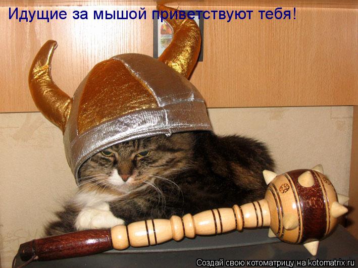 Котоматрица: Идущие за мышой приветствуют тебя!
