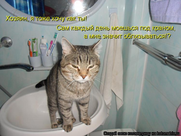 Котоматрица: Хозяин, я тоже хочу как ты! Сам каждый день моешься под краном, а мне значит облизываться!?