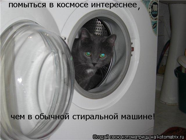 Котоматрица: помыться в космосе интереснее , чем в обычной стиральной машине!