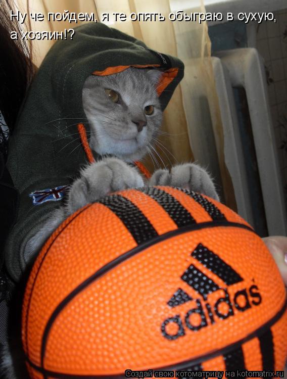 Котоматрица: Ну че пойдем, я те опять обыграю в сухую, а хозяин!?