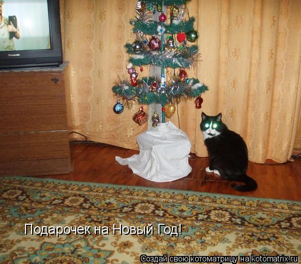 Котоматрица: Подарочек на Новый Год!