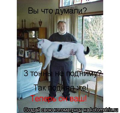 Котоматрица: Вы что думали?  3 тонны не подниму? Так поднял же!  Теперь он ваш!