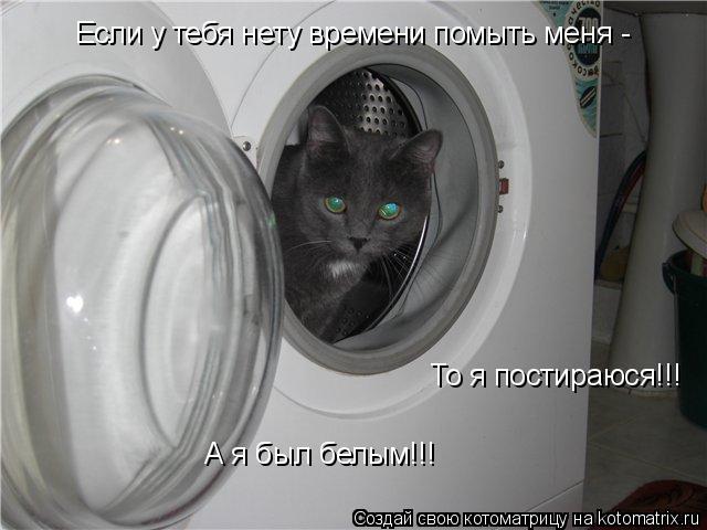 Котоматрица: То я постираюся!!! Если у тебя нету времени помыть меня -  А я был белым!!!