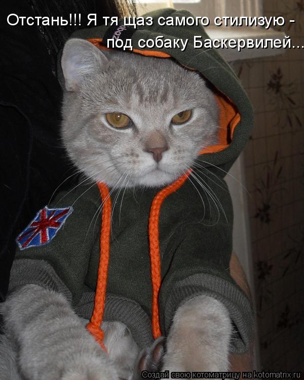Котоматрица: Отстань!!! Я тя щаз самого стилизую - под собаку Баскервилей...