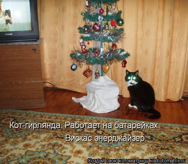 Котоматрица: Кот-гирлянда. Работает на батарейках  Вискас энерджайзер.