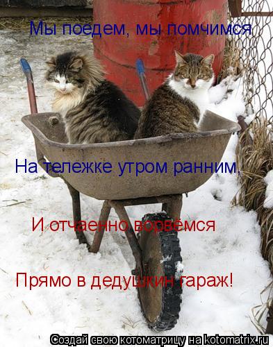 Котоматрица: Мы поедем, мы помчимся На тележке утром ранним, И отчаенно ворвёмся  Прямо в дедушкин гараж!