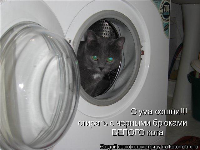 Котоматрица: С ума сошли!!! стирать с черными брюками БЕЛОГО кота