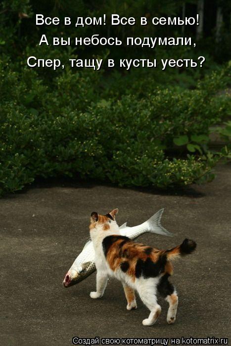 Котоматрица: Все в дом! Все в семью! А вы небось подумали, Спер, тащу в кусты уесть?