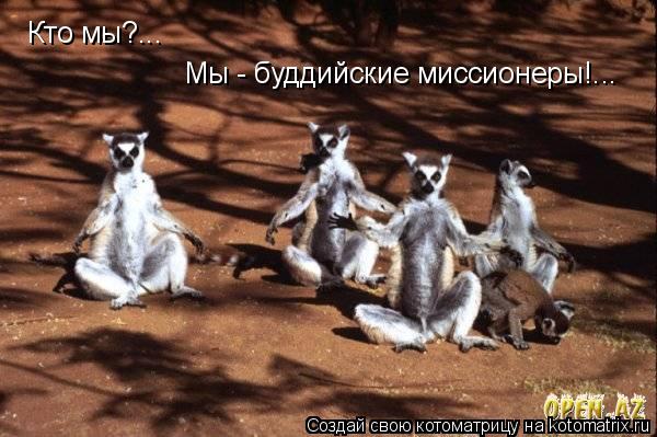 Котоматрица: Кто мы?... Мы - буддийские миссионеры!...