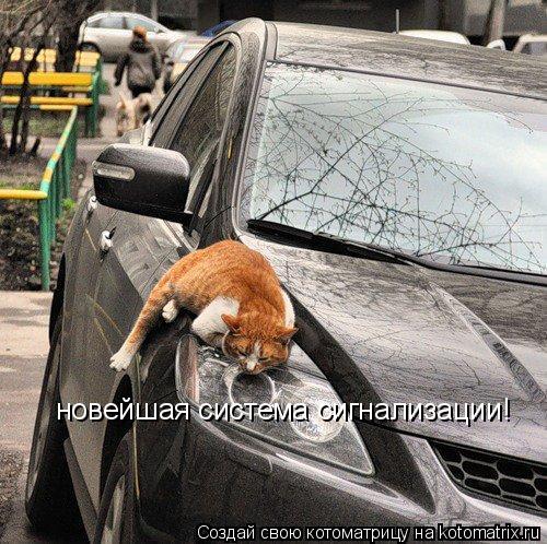 Котоматрица: новейшая система сигнализации!