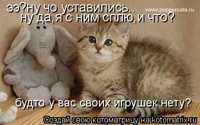 Котоматрица: ээ?ну чо уставились.. ну да,я с ним сплю,и что? будто у вас своих игрушек нету?