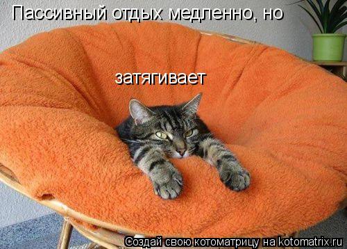 Котоматрица: Пассивный отдых медленно, но затягивает