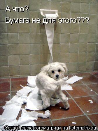 Котоматрица: Бумага не для этого??? А что?