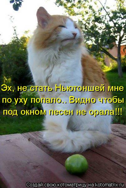 Эх, не стать Ньютоншей мне по уху попало.. Видно чтобы под окном песен не орала!!!... Котоматрица: Эх, не стать Ньютоншей мне по уху попало.. Видно чтобы под окном песен не орала!!!